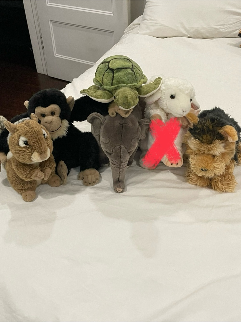 Webkinz Signature Lot